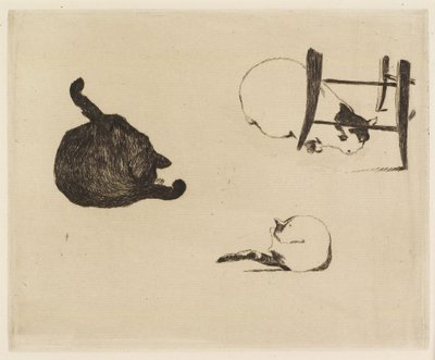 Kočky, 1869 od Édouard Manet