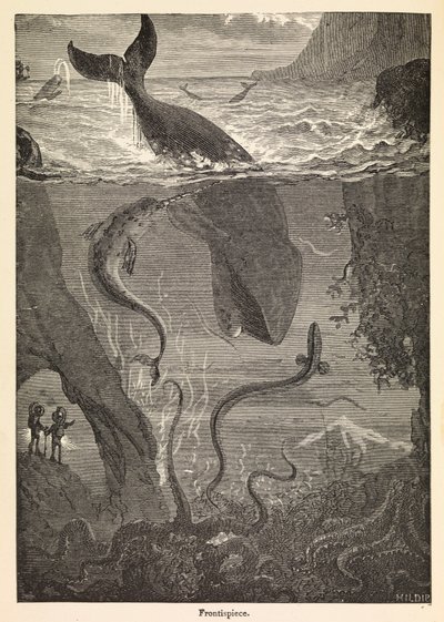 Frontispis knihy Julese Verna "Dvacet tisíc mil pod mořem", cca 1870 (tisk) od Edouard & Neuville Alphonse-Marie-Adolphe de (1835-85) Riou