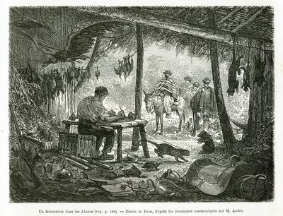 Závěsný od Edouard Riou