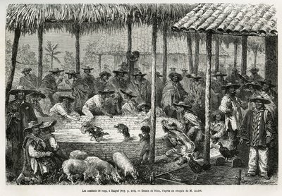 Kohoutí zápasy a pouliční animace v Ibague (Kolumbie), kresba Riou, k ilustraci příběhu Equinoxiale America (Kolumbie, Ekvádor, Peru), v letech 1875-1876, Ed. andre, pověření cestovní mise francouzské vlády. Rytina v Le tour du monde od Edouard Riou