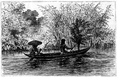 Dugout v řece Essequibo, Guyana, 19. století od Edouard Riou