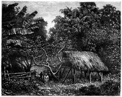 Guyana, Jižní Amerika, 19. století od Edouard Riou