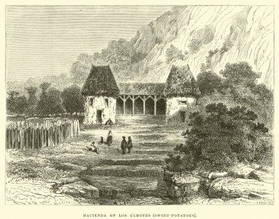 Hacienda z Los Camotes, sladké brambory od Edouard Riou