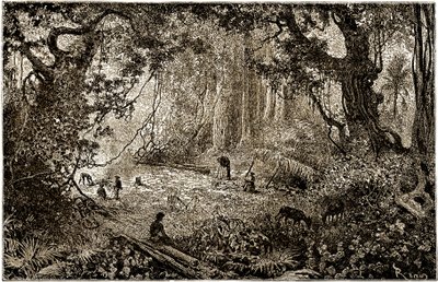 Instalace tábora průzkumníků v Guatemale (1882) od Edouard Riou