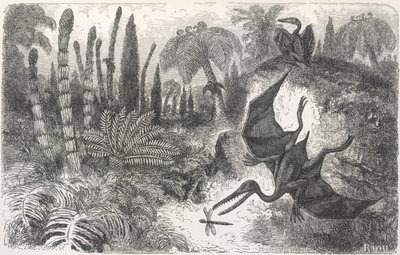 „Krajina období Liasic“. Ilustrace zobrazující pterodaktyla od Edouard Riou