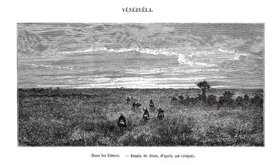 Los Llanos, Venezuela, 19. století od Edouard Riou