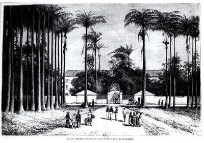 Place des Palmistes, Cayenne, Guyana od Edouard Riou