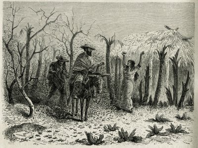 The Clouds of Grasshoppers of the Vallee du Upper Patia, s vypravěčem plavby na jeho mule, rytina Riou, pro ilustraci příběhu L