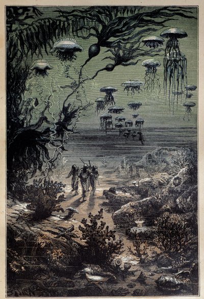 Podvodní podlaha. Ilustrace Edouarda Rioua (1833-1900) k románu „Dvacet tisíc mil pod mořem““ od Julese Verna (1828-1905) Soukromá sbírka z 19. století od Edouard Riou