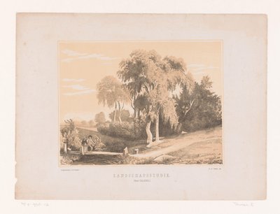 Landschapsstudie (název na objektu) od Edouard Taurel