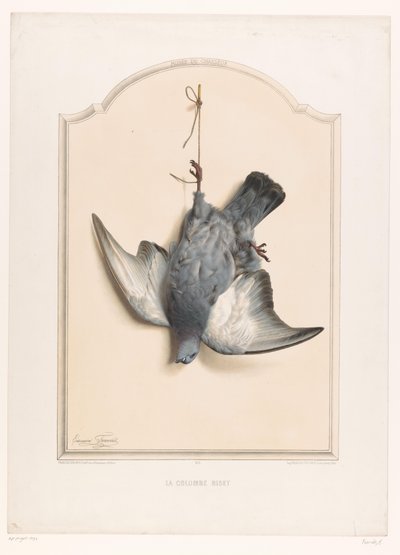 Mrtvý holub skalní visící na jedné noze La colombe biset (název na objektu) Museum of the Hunter (název série) Musée du chasseur (název série na předmětu) od Edouard Travies