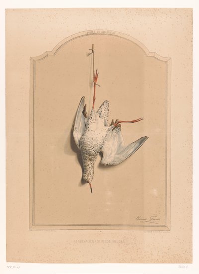 Mrtvý redshank visící na noze Le chevalier aux pieds rouge (název na objektu) Museum of the Hunter (název série) Musée du chasseur (název série na předmětu) od Edouard Travies