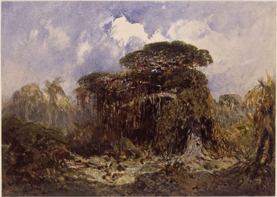 Studie o lesích od Eduard Hildebrandt