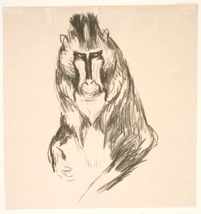 Gorila (pevnina) od Edvard Munch