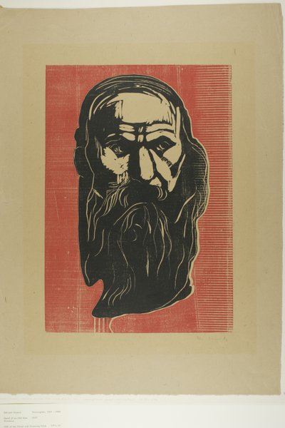 Hlava starého muže s vousy od Edvard Munch