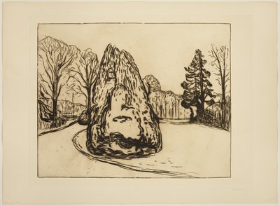 Zahrada od Edvard Munch
