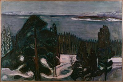 Zimní noc od Edvard Munch