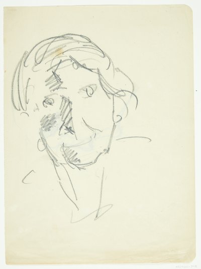 Portrét umělcovy manželky, malířky Agnes Weie (1878-1964), en face od Edvard Weie
