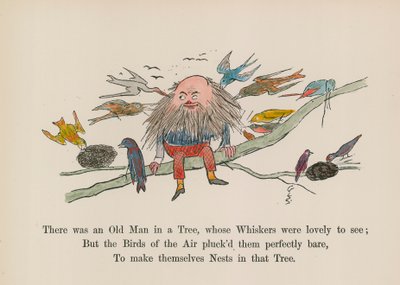 Na stromě byl stařec, jehož vousy byly krásně vidět (kolorovaná rytina). od Edward (after) Lear