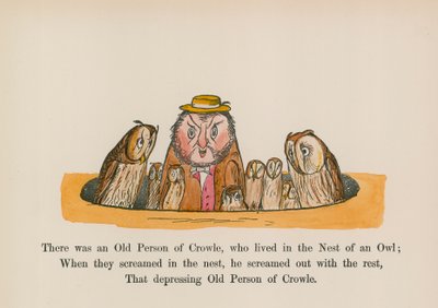 Byl jeden starý člověk z Crowle, který žil v hnízdě sovy (kolorovaná rytina) od Edward (after) Lear