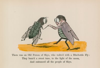 Byl jeden starý člověk ze Skye, který tančil valčík s modrou muškou (kolorovaná rytina). od Edward (after) Lear
