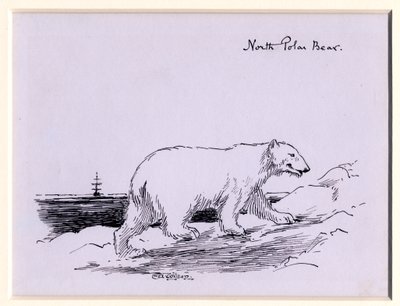 Lední medvěd, cca 1905 (inkoust na papíře) od Edward Adrian Wilson