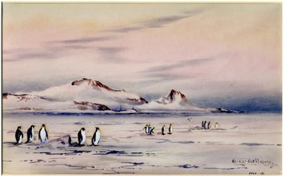 The Discovery Winter Quarters, c.1901-04 (wc na papíře) od Edward Adrian Wilson