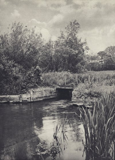 Malý dopravce na vodě v Ramsbury (čb fotografie) od Edward Alfred Barton