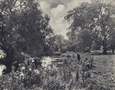 Přerušený oběd (čb fotografie) od Edward Alfred Barton