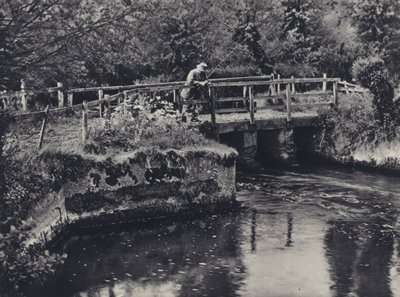 V Burcombe na řece Nadder (čb fotografie) od Edward Alfred Barton