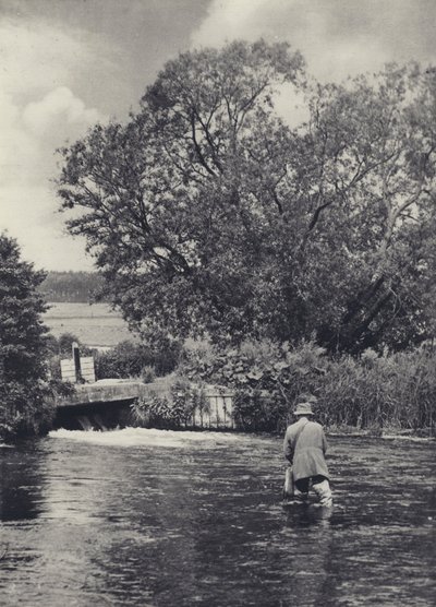 Na řece Itchen pod Winchesterem (čb fotografie) od Edward Alfred Barton