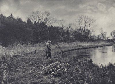 První jarní hlaváčky (čb foto) od Edward Alfred Barton