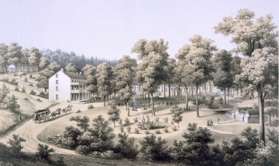 Stribling Springs, Spa Village, Augusta Country, 1858 od Edward Beyer