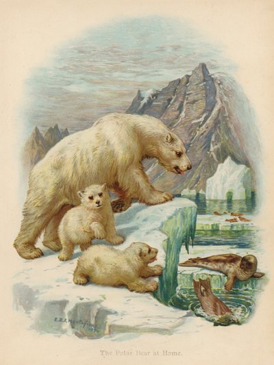 Lední medvěd doma (barevná litografie) od Edward Brice Montefiore
