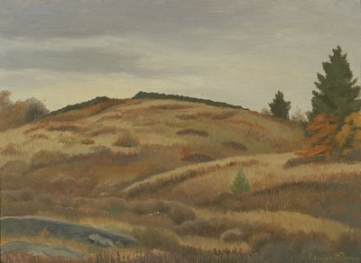 Podzimní pole, ca. 1926-1934. od Edward Bruce