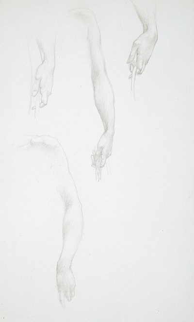 Studie paží a rukou (líc); Studie ženského trupu (rub) od Edward Burne-Jones