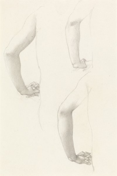 Studie paží a rukou od Edward Burne-Jones