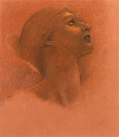 Studie pro 