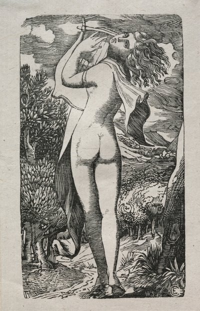 Bacchante aneb Hráč na lyře od Edward Calvert