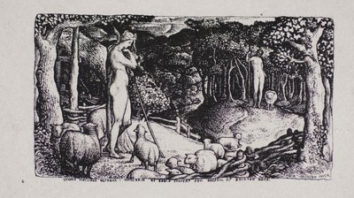Ideální pastorační život od Edward Calvert