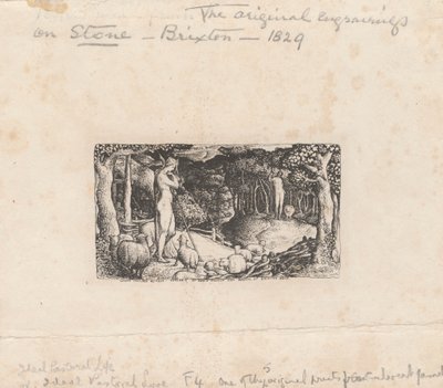 Ideální pastorační život od Edward Calvert