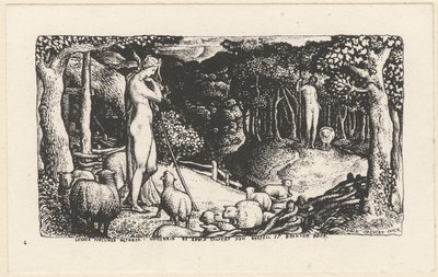 Ideální pastorační život od Edward Calvert