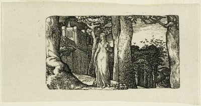 Dáma a věže od Edward Calvert