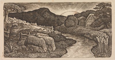 Ovce jeho pastviny od Edward Calvert
