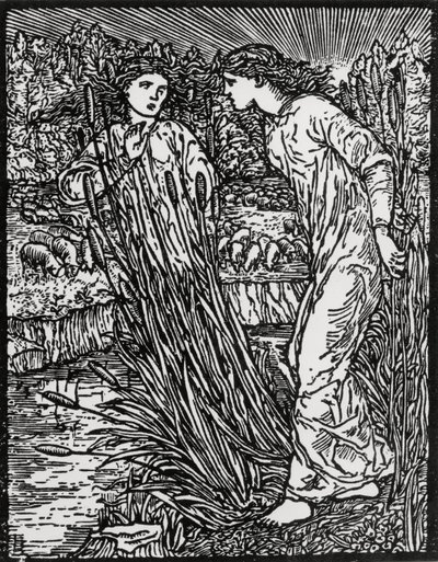 Úkol zlaté vlny ovce od Edward Coley (after) Burne Jones