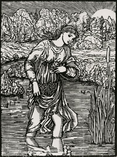 Úkol Rákosí od Edward Coley (after) Burne Jones