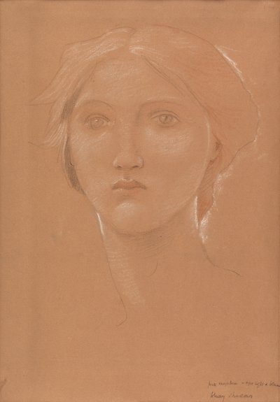 Studie hlavy Margaret Burne-Jonesové pro „Král Cophetua a žebrácká panna“ (křída na papíře) od Edward Coley Burne Jones