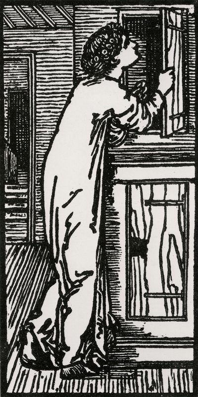 Psyche Pohled do skříně, 1866 od Edward Coley after Burne Jones