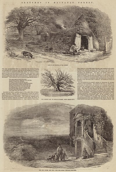 Skici v Hainaultském lese od Edward Duncan