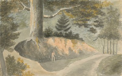 Cesta v lese od Edward Francis Burney